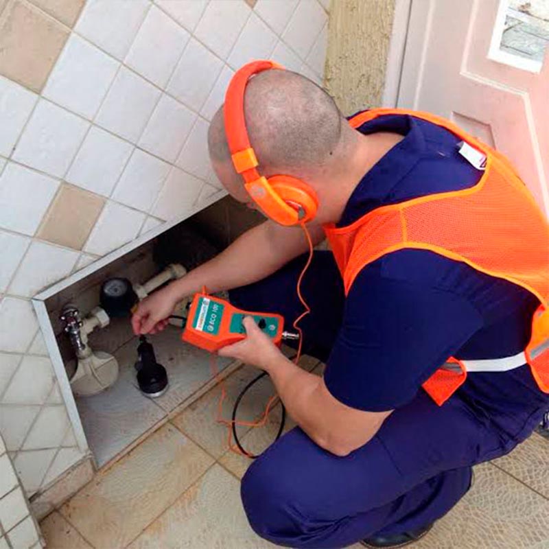 imagem de CAÇA VAZAMENTOS